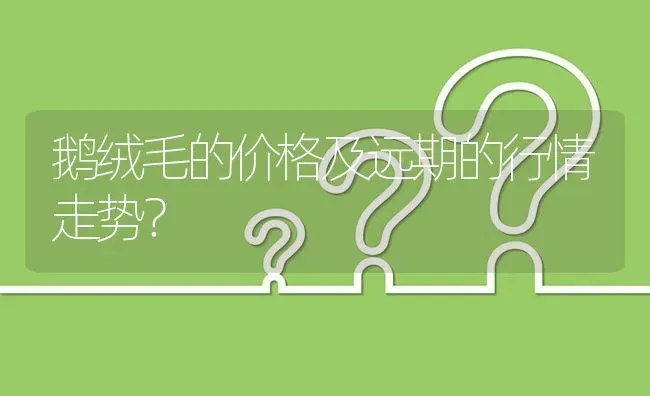 鹅绒毛的价格及远期的行情走势? | 养殖问题解答