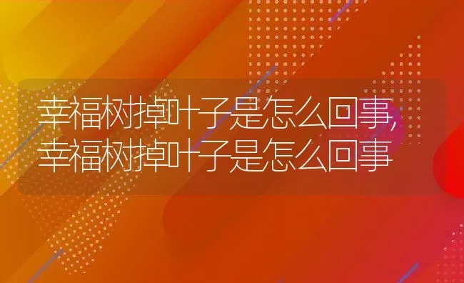 幸福树掉叶子是怎么回事,幸福树掉叶子是怎么回事 | 养殖常见问题