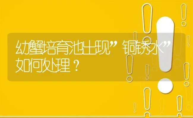 幼蟹培育池出现”铜锈水”如何处理? | 养殖问题解答