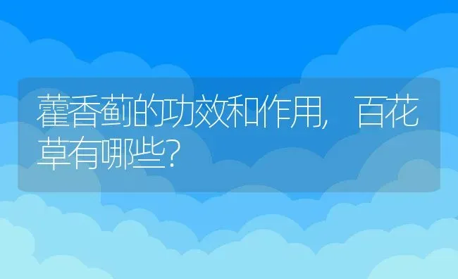 藿香蓟的功效和作用,百花草有哪些？ | 养殖常见问题