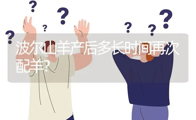 波尔山羊产后多长时间再次配羊? | 养殖问题解答