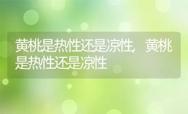 黄桃是热性还是凉性,黄桃是热性还是凉性 | 养殖常见问题