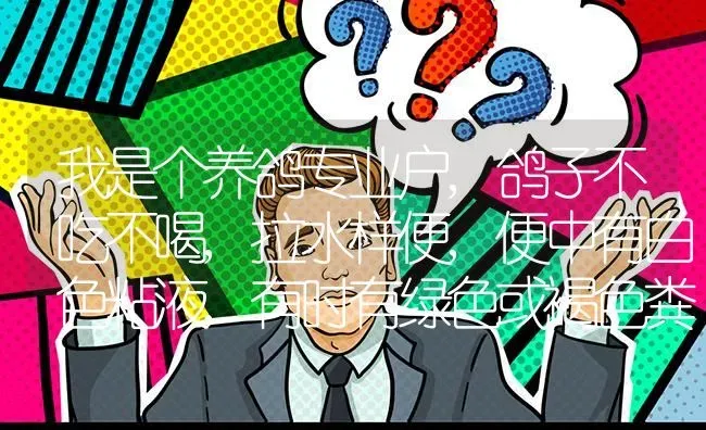 我是个养鸽专业户,鸽子不吃不喝,拉水样便,便中有白色粘液,有时有绿色或褐色粪便? | 养殖问题解答