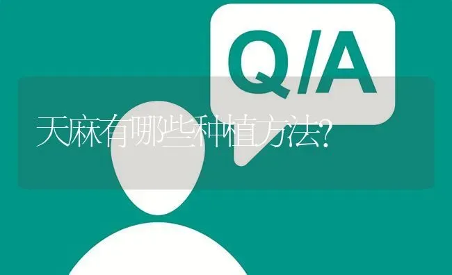 天麻有哪些种植方法? | 养殖问题解答