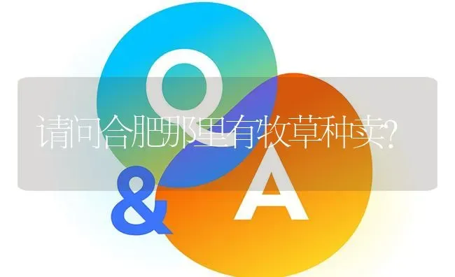 请问合肥那里有牧草种卖? | 养殖问题解答