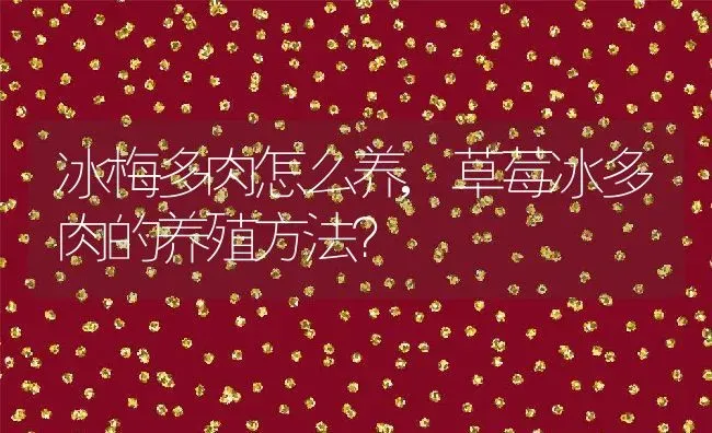 冰梅多肉怎么养,草莓冰多肉的养殖方法？ | 养殖常见问题