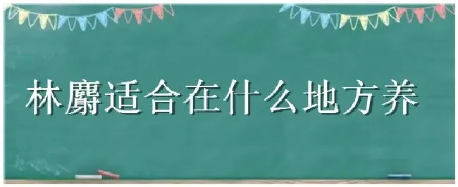 林麝适合在什么地方养 | 三农问答