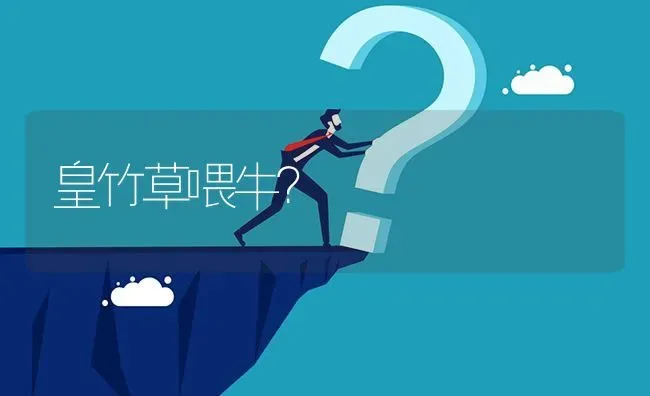 皇竹草喂牛? | 养殖问题解答