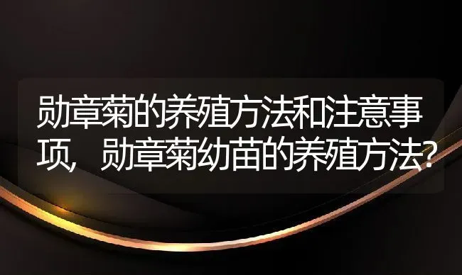 勋章菊的养殖方法和注意事项,勋章菊幼苗的养殖方法？ | 养殖常见问题