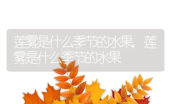 莲雾是什么季节的水果,莲雾是什么季节的水果 | 养殖常见问题