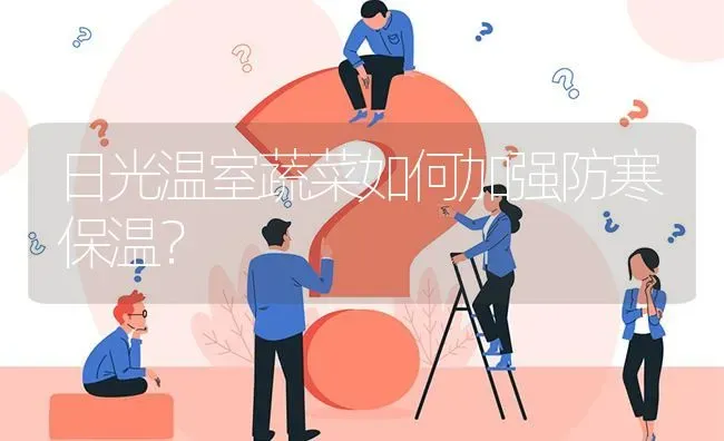 日光温室蔬菜如何加强防寒保温? | 养殖问题解答