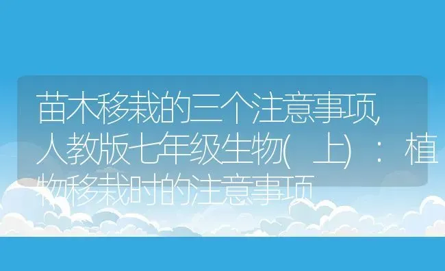 苗木移栽的三个注意事项,人教版七年级生物(上):植物移栽时的注意事项 | 养殖常见问题