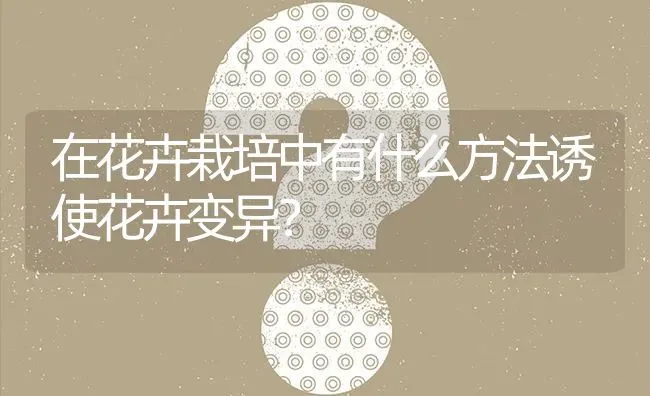 在花卉栽培中有什么方法诱使花卉变异? | 养殖问题解答