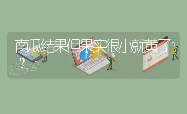 南瓜结果但果实很小就黄了? | 养殖问题解答