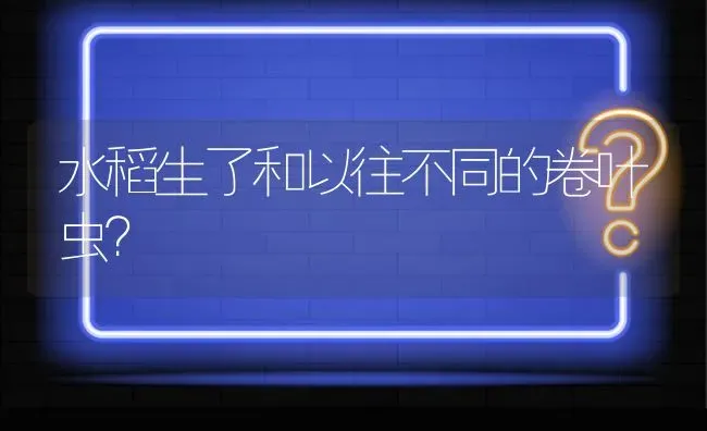 水稻生了和以往不同的卷叶虫? | 养殖问题解答