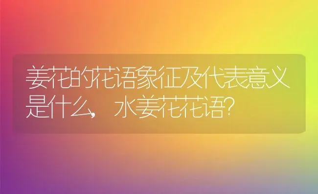 姜花的花语象征及代表意义是什么,水姜花花语？ | 养殖常见问题