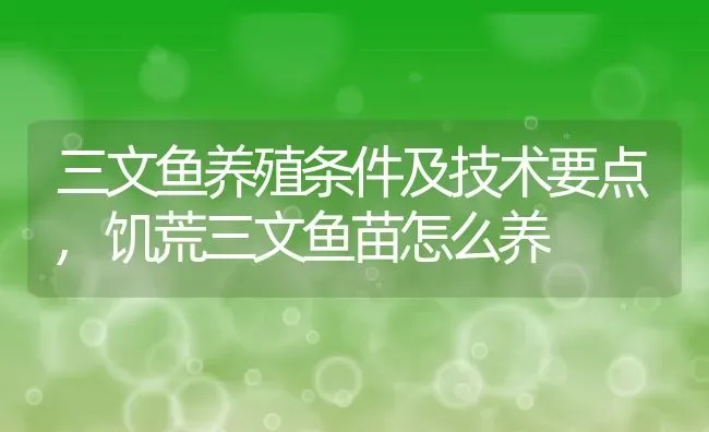 三文鱼养殖条件及技术要点,饥荒三文鱼苗怎么养 | 养殖常见问题