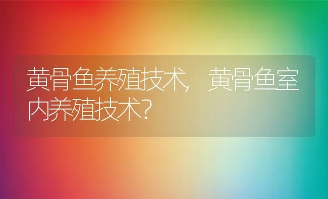 黄骨鱼养殖技术,黄骨鱼室内养殖技术？ | 养殖常见问题