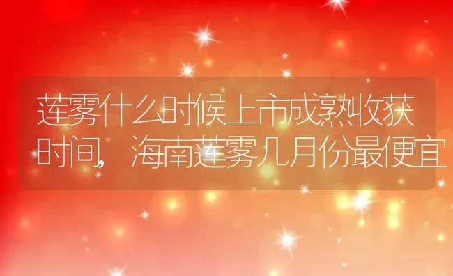 莲雾什么时候上市成熟收获时间,海南莲雾几月份最便宜 | 养殖常见问题