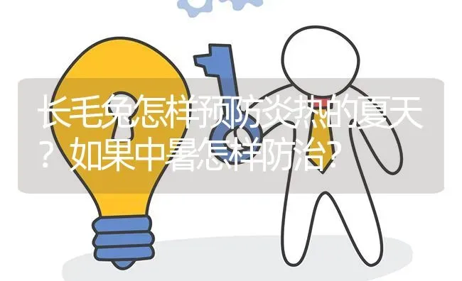 长毛兔怎样预防炎热的夏天?如果中暑怎样防治? | 养殖问题解答