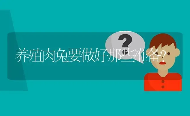 养殖肉兔要做好那些准备? | 养殖问题解答