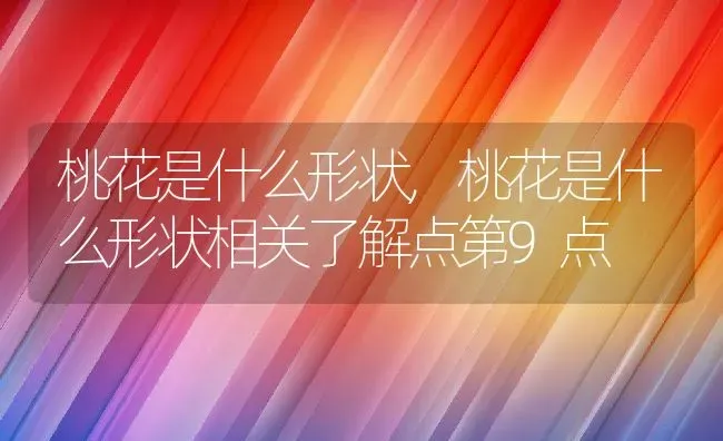 桃花是什么形状,桃花是什么形状相关了解点第9点 | 养殖常见问题