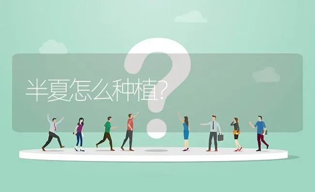 半夏怎么种植? | 养殖问题解答