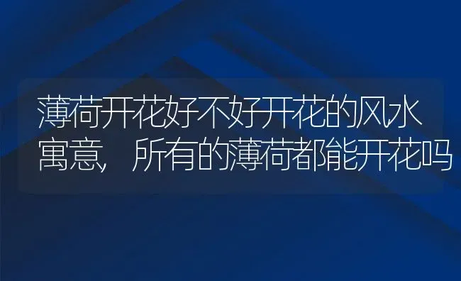 山药怎么种植,山药种植技术全过程？ | 养殖常见问题