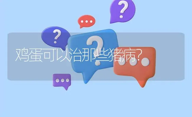 鸡蛋可以治那些猪病? | 养殖问题解答