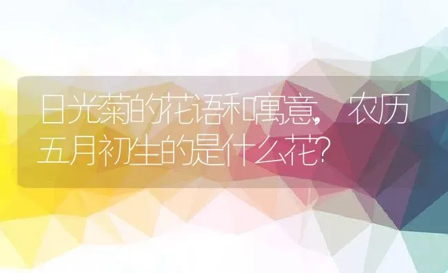 日光菊的花语和寓意,农历五月初生的是什么花？ | 养殖常见问题