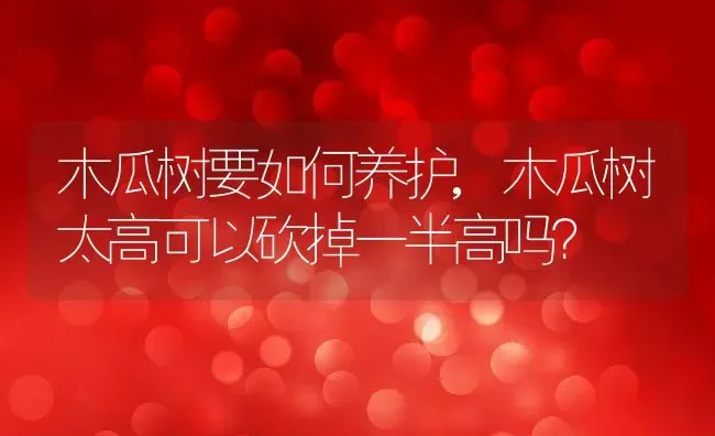 木瓜树要如何养护,木瓜树太高可以砍掉一半高吗？ | 养殖常见问题