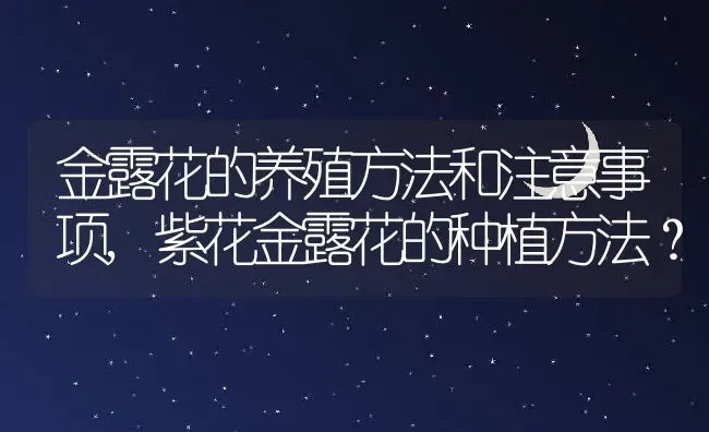 金露花的养殖方法和注意事项,紫花金露花的种植方法？ | 养殖常见问题