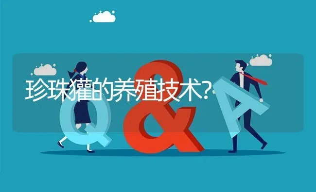 珍珠獾的养殖技术? | 养殖问题解答