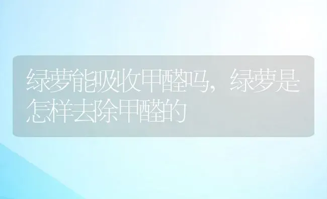 绿萝能吸收甲醛吗,绿萝是怎样去除甲醛的 | 养殖常见问题