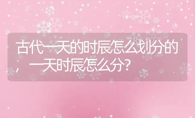 古代一天的时辰怎么划分的,一天时辰怎么分？ | 养殖常见问题