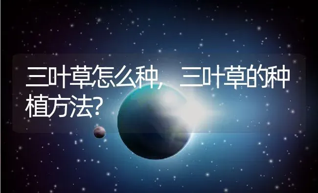 三叶草怎么种,三叶草的种植方法？ | 养殖常见问题