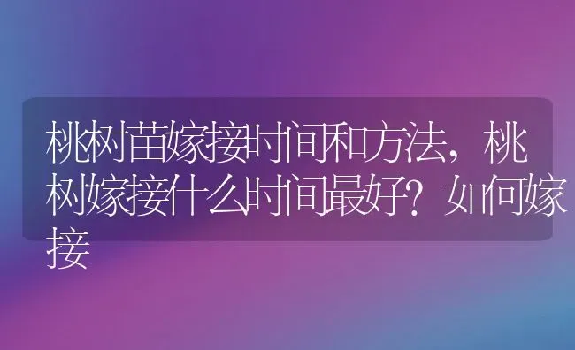 桃树苗嫁接时间和方法,桃树嫁接什么时间最好？如何嫁接 | 养殖常见问题