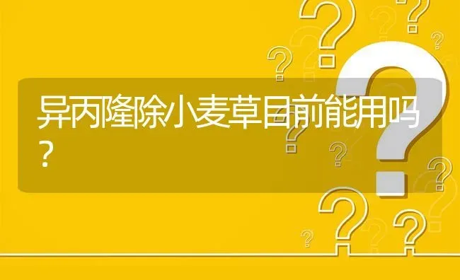 异丙隆除小麦草目前能用吗? | 养殖问题解答