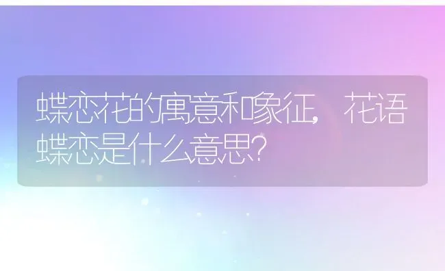 蝶恋花的寓意和象征,花语蝶恋是什么意思？ | 养殖常见问题