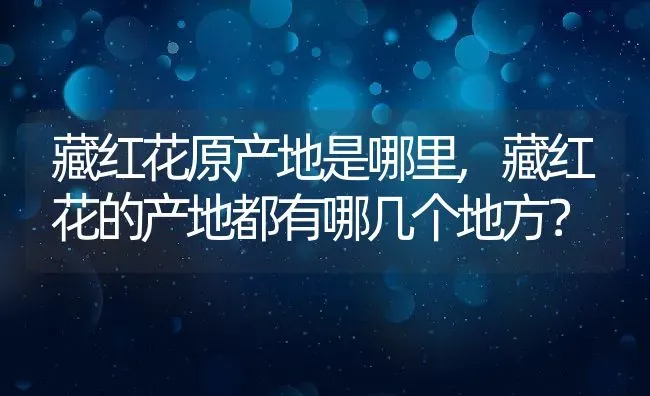 藏红花原产地是哪里,藏红花的产地都有哪几个地方？ | 养殖常见问题