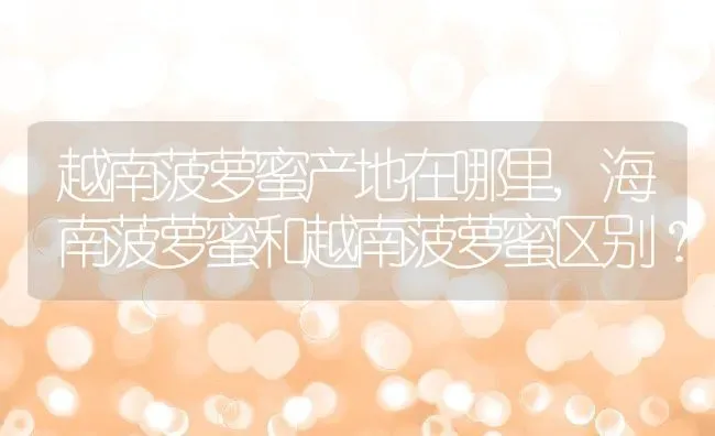越南菠萝蜜产地在哪里,海南菠萝蜜和越南菠萝蜜区别？ | 养殖常见问题