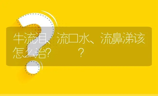 牛流泪、流口水、流鼻涕该怎么治?　　? | 养殖问题解答