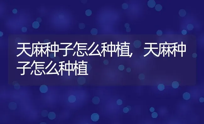天麻种子怎么种植,天麻种子怎么种植 | 养殖常见问题