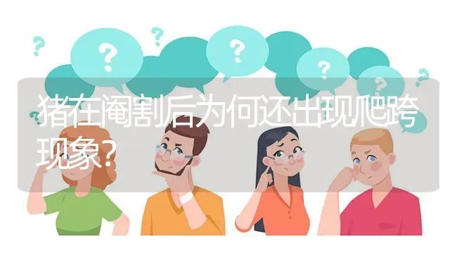 猪在阉割后为何还出现爬跨现象? | 养殖问题解答