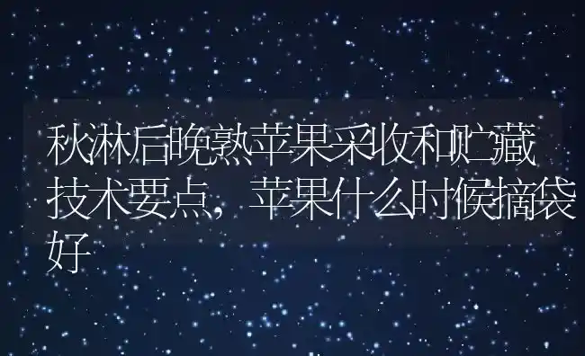 秋淋后晚熟苹果采收和贮藏技术要点,苹果什么时候摘袋好 | 养殖常见问题