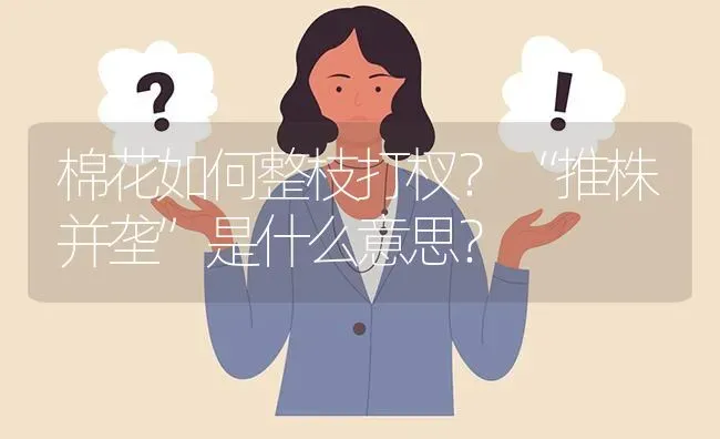 棉花如何整枝打杈?“推株并垄”是什么意思? | 养殖问题解答