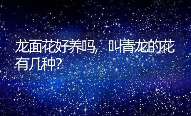 龙面花好养吗,叫青龙的花有几种？ | 养殖常见问题