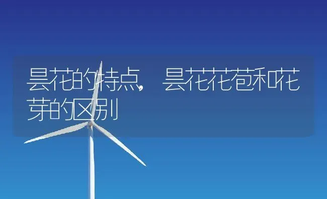 昙花的特点,昙花花苞和花芽的区别 | 养殖常见问题