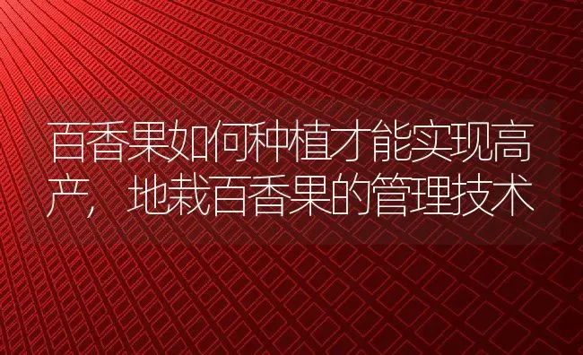 百香果如何种植才能实现高产,地栽百香果的管理技术 | 养殖常见问题