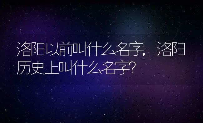 洛阳以前叫什么名字,洛阳历史上叫什么名字？ | 养殖常见问题